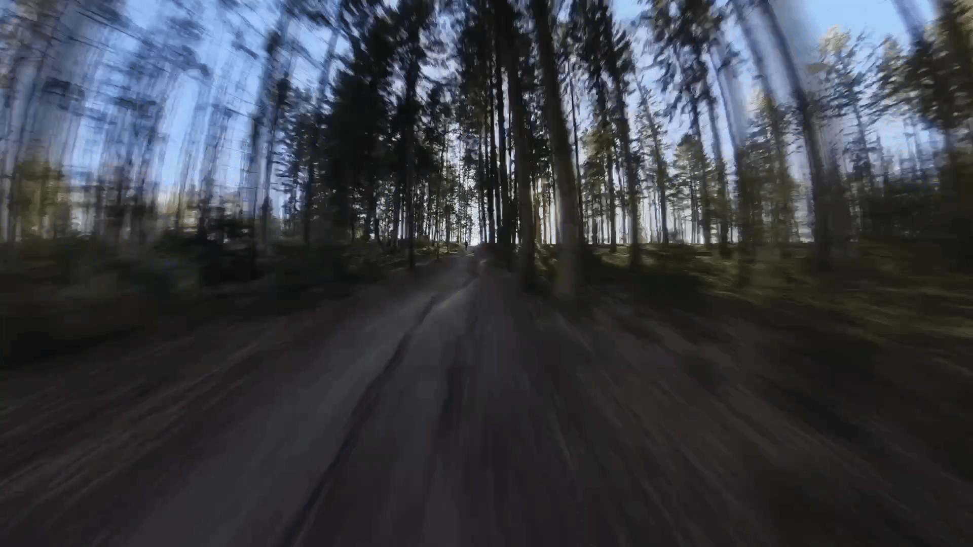 22-12 Waldspaziergang_bei_uns