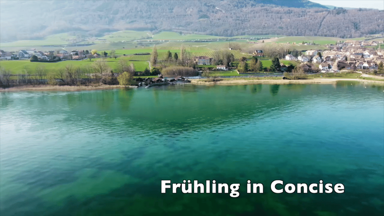 22-12 Jahresrückblick 2022 lang