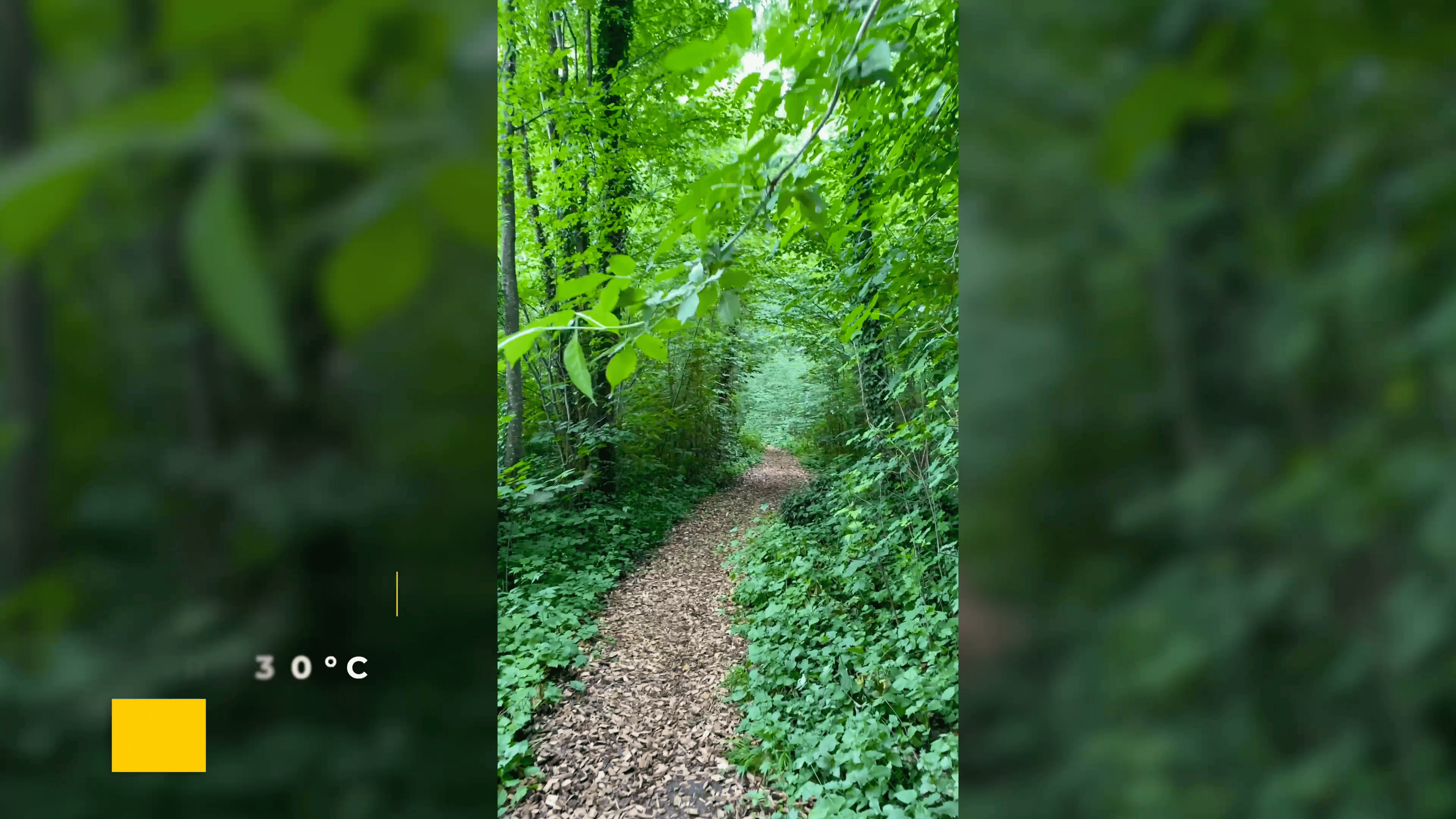 22-06 Schwarzenbühl und Murtensee