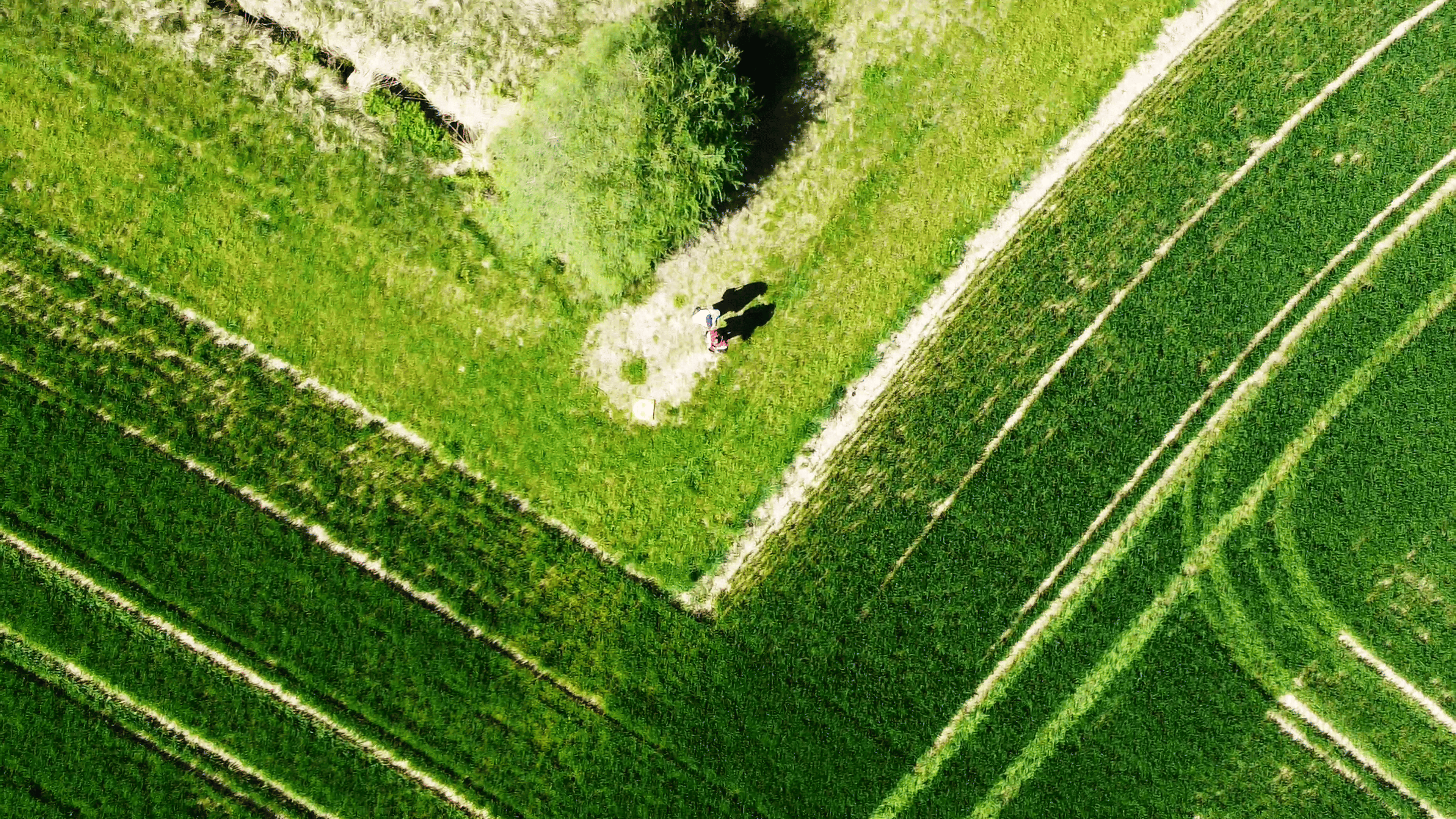 22-05 Reserve naturelle de la Sarraz und Cheyres