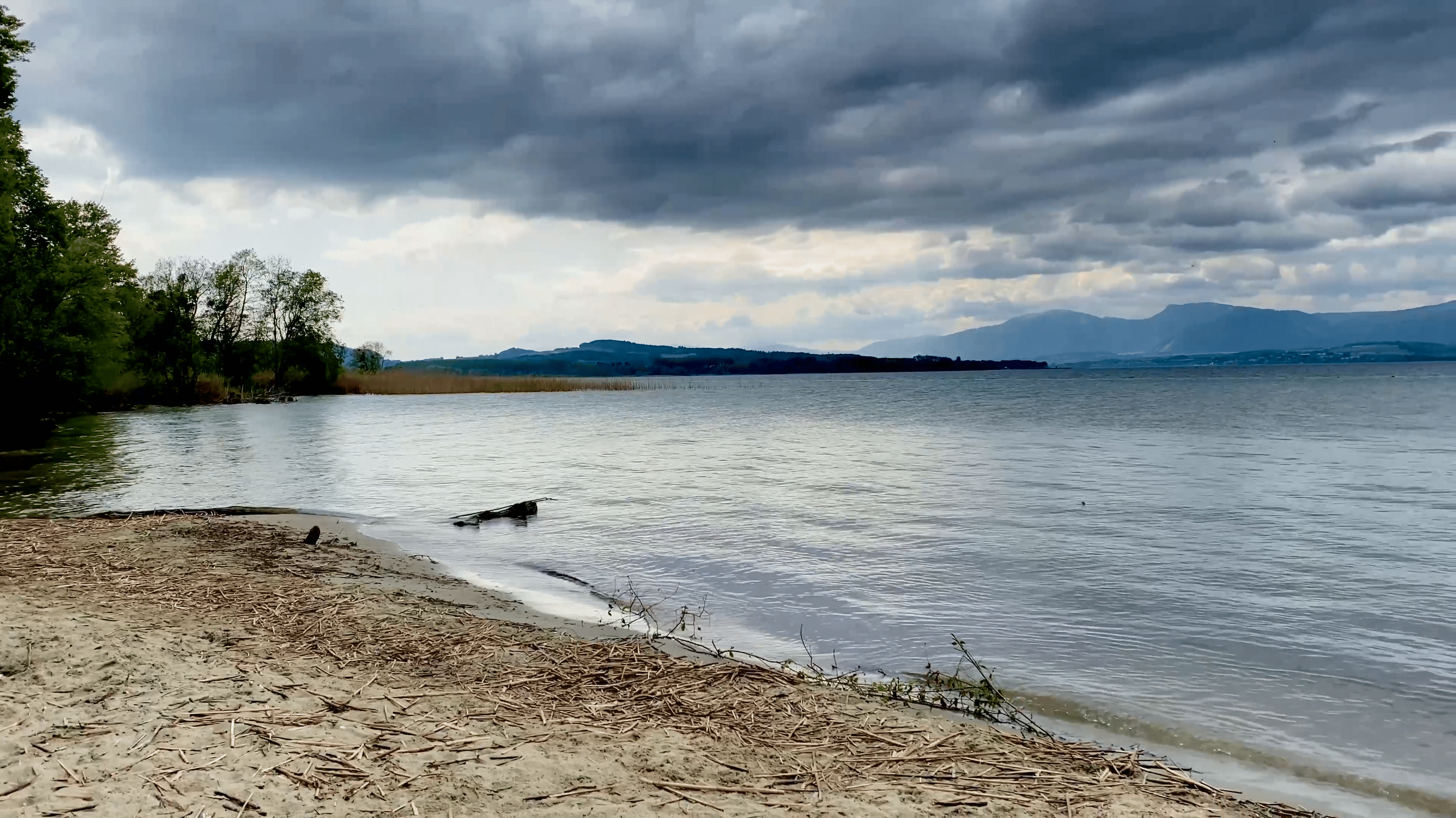 22-05 Grande Cariçaie bei Cheyres