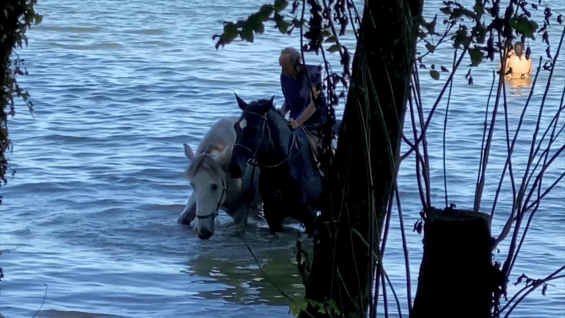 21-09 Murtensee Südufer