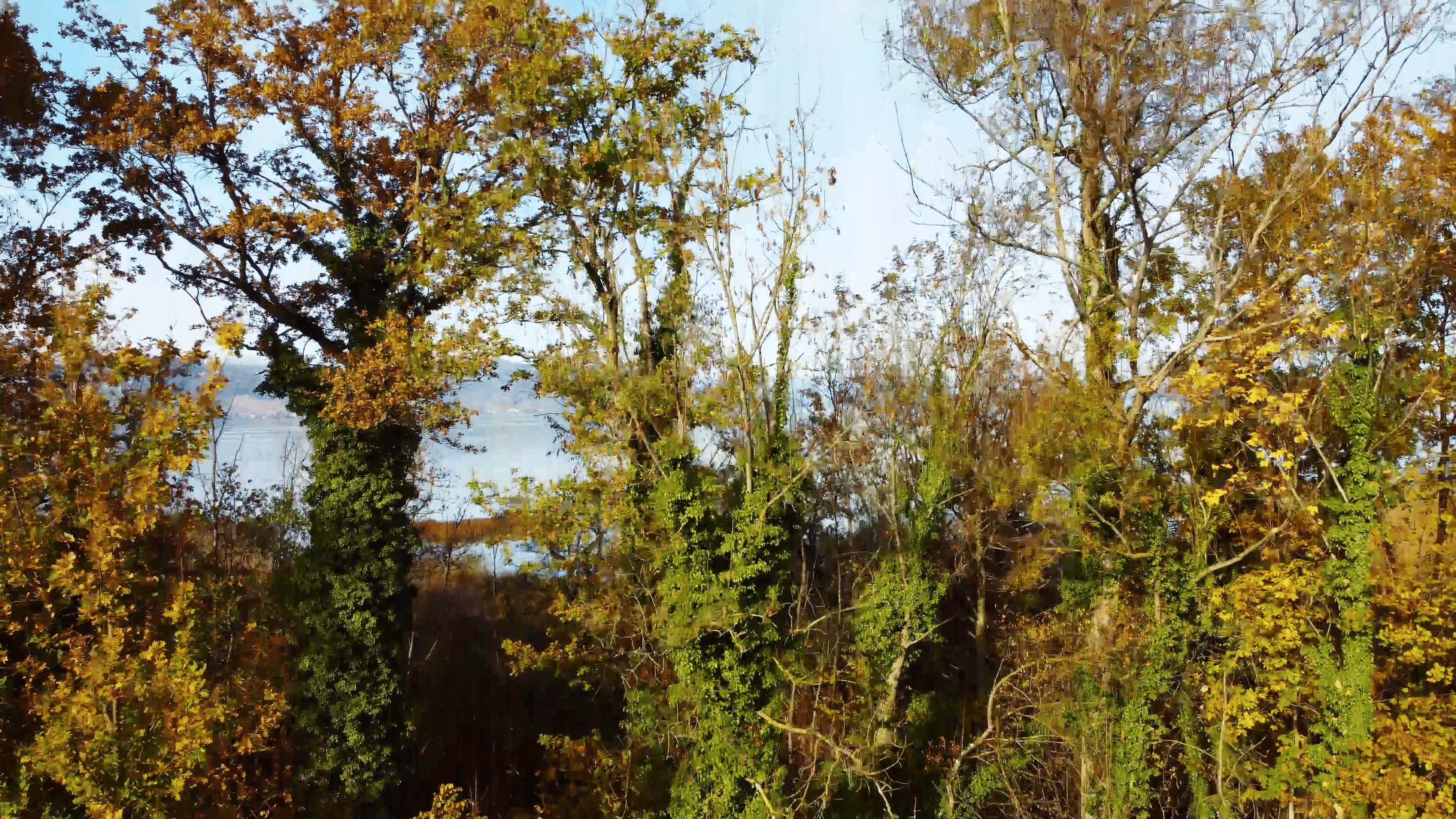 21-10 Halbinsel im Murtensee