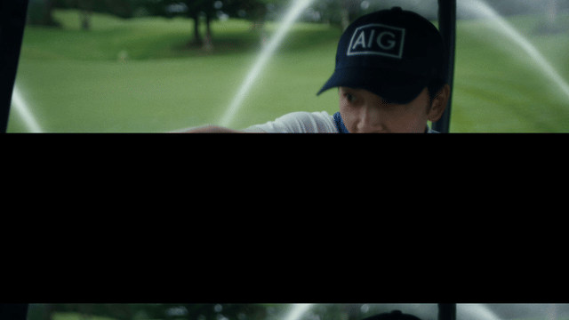 AIG (30s)