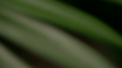 DIOR - Mayumi Sada (60s)