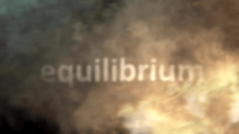 equlibrium 2013