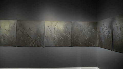 singleton_exhibition_counterpoise