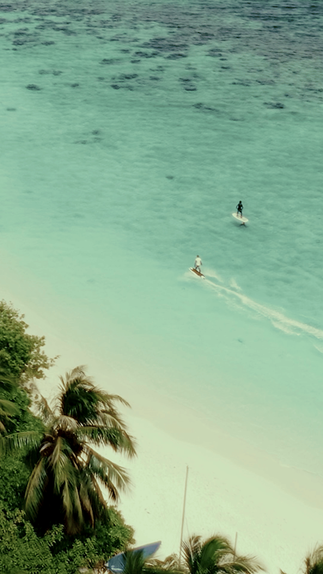 Homepage Hero Video - Portrait (Dec 25)