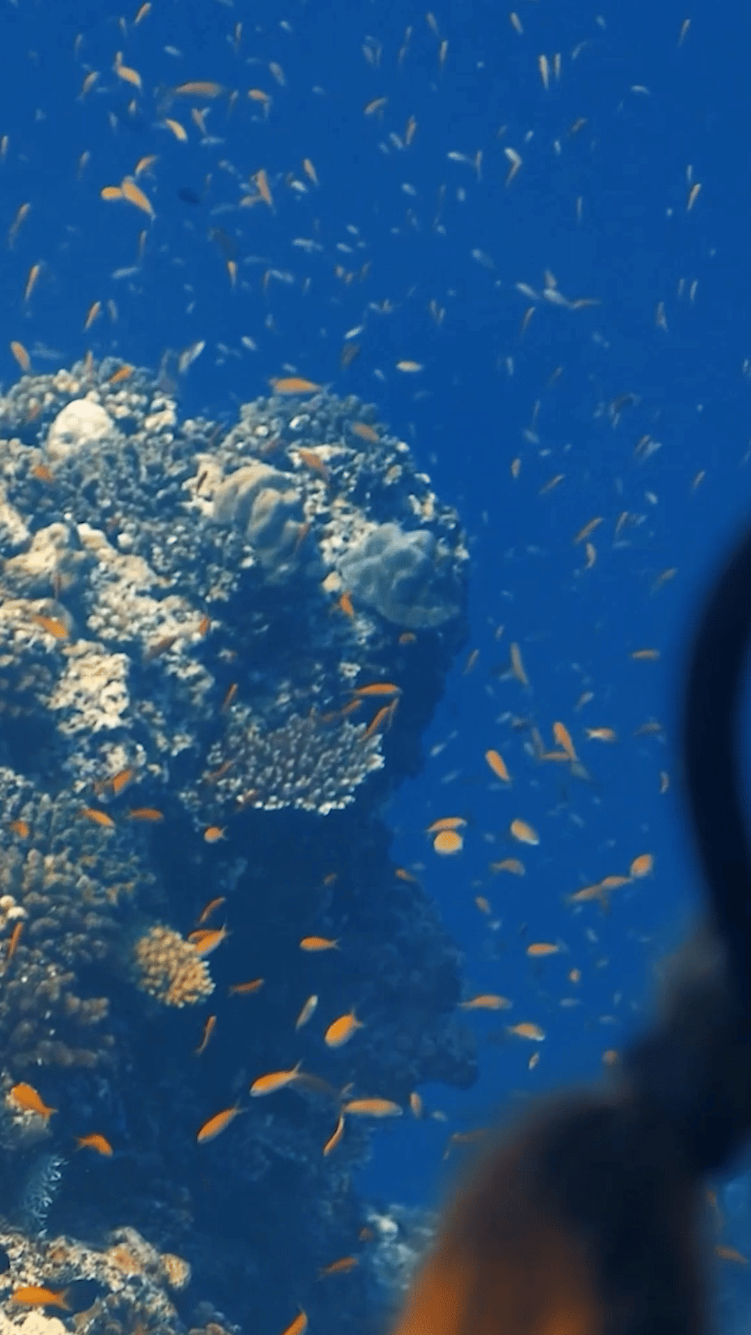 ソネバフシ｜モルディブ・バア環礁