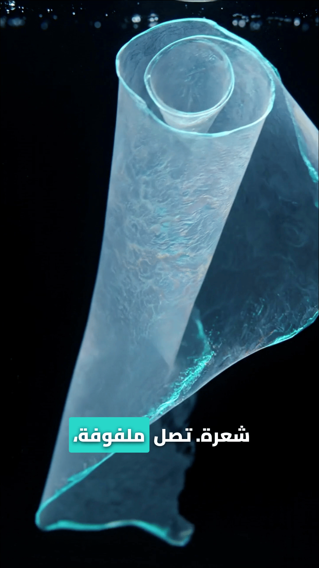 Media Poster