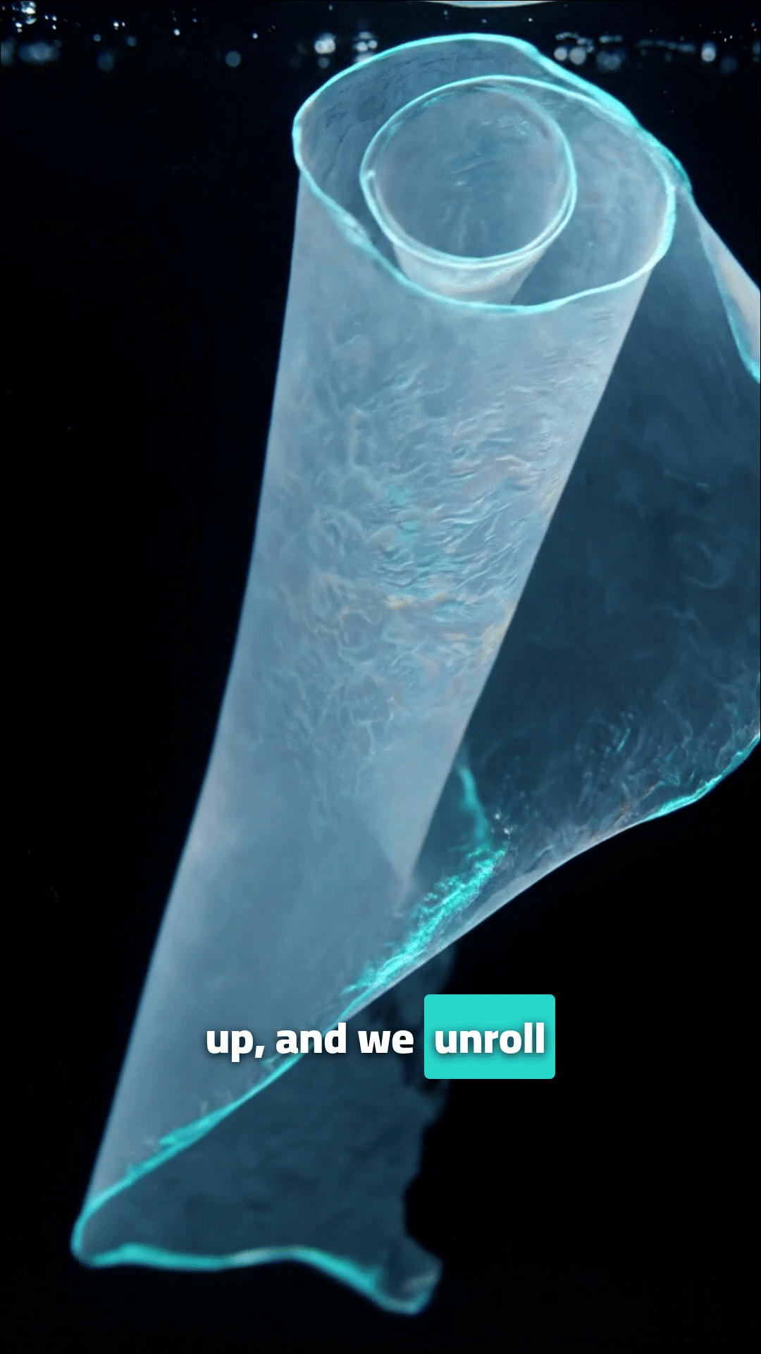 Media Poster
