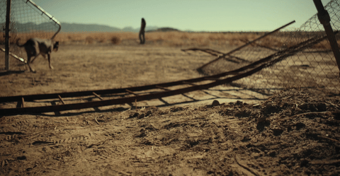 Fall.2022.1080p.WEBRip.x264-RARBG