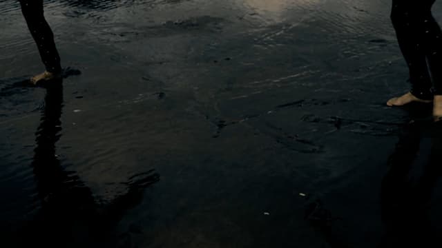 We Are Made of Starstuff (2018 clip 1'51'', silent) 