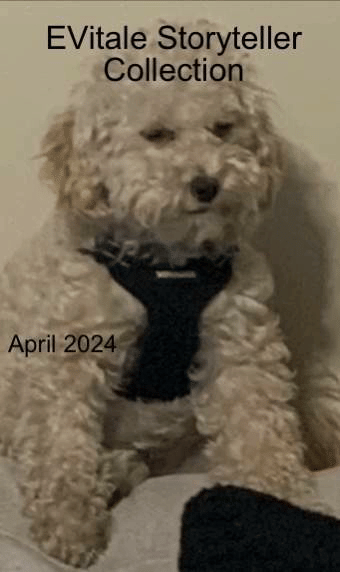 Break Time Away From You