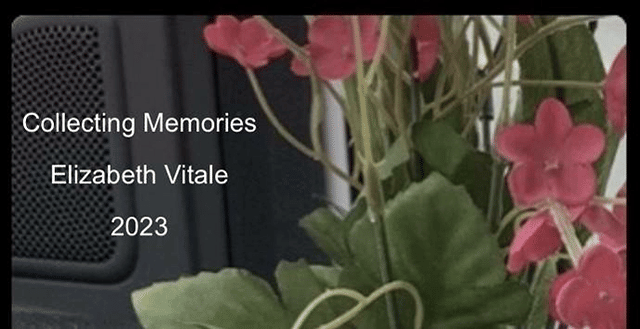 Collecting Memories