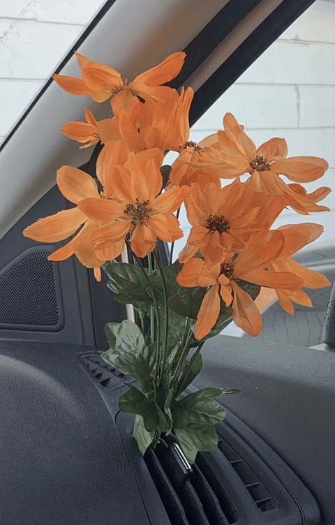 Don't Let Anyone Fool You