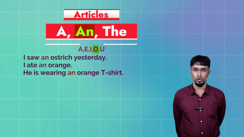 Have_Has_Had_Articles.mp4