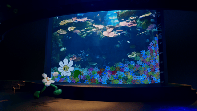 Sealife X Hellovachboy