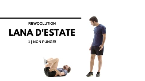 Lana d'Estate - 1 | non punge!