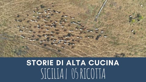Miele - Storie di Alta Cucina Sicilia | 5 Ricotta