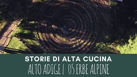 Miele - Storie di alta cucina | 5 Erbe alpine