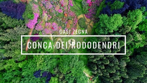 Oasi zegna - la Conca dei Rododendri