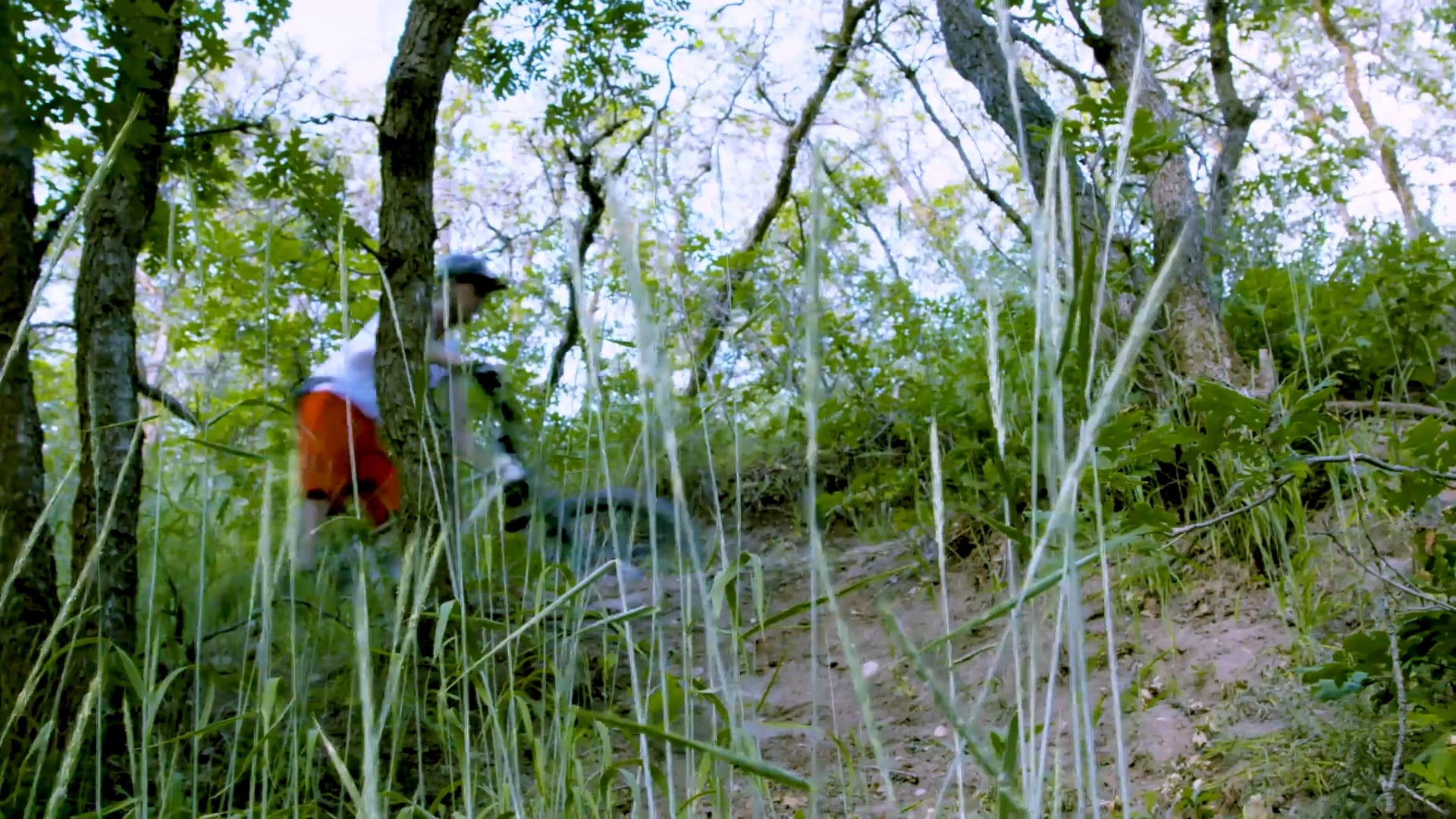 Why Cycles - Bobsled Trail