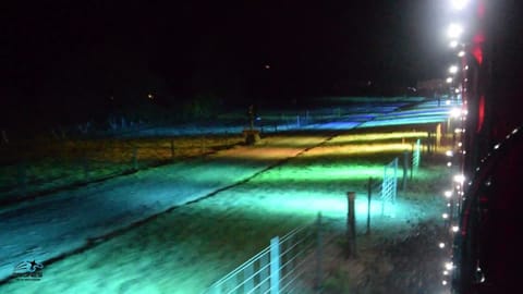 Christmas Lights Trains - Event Advert