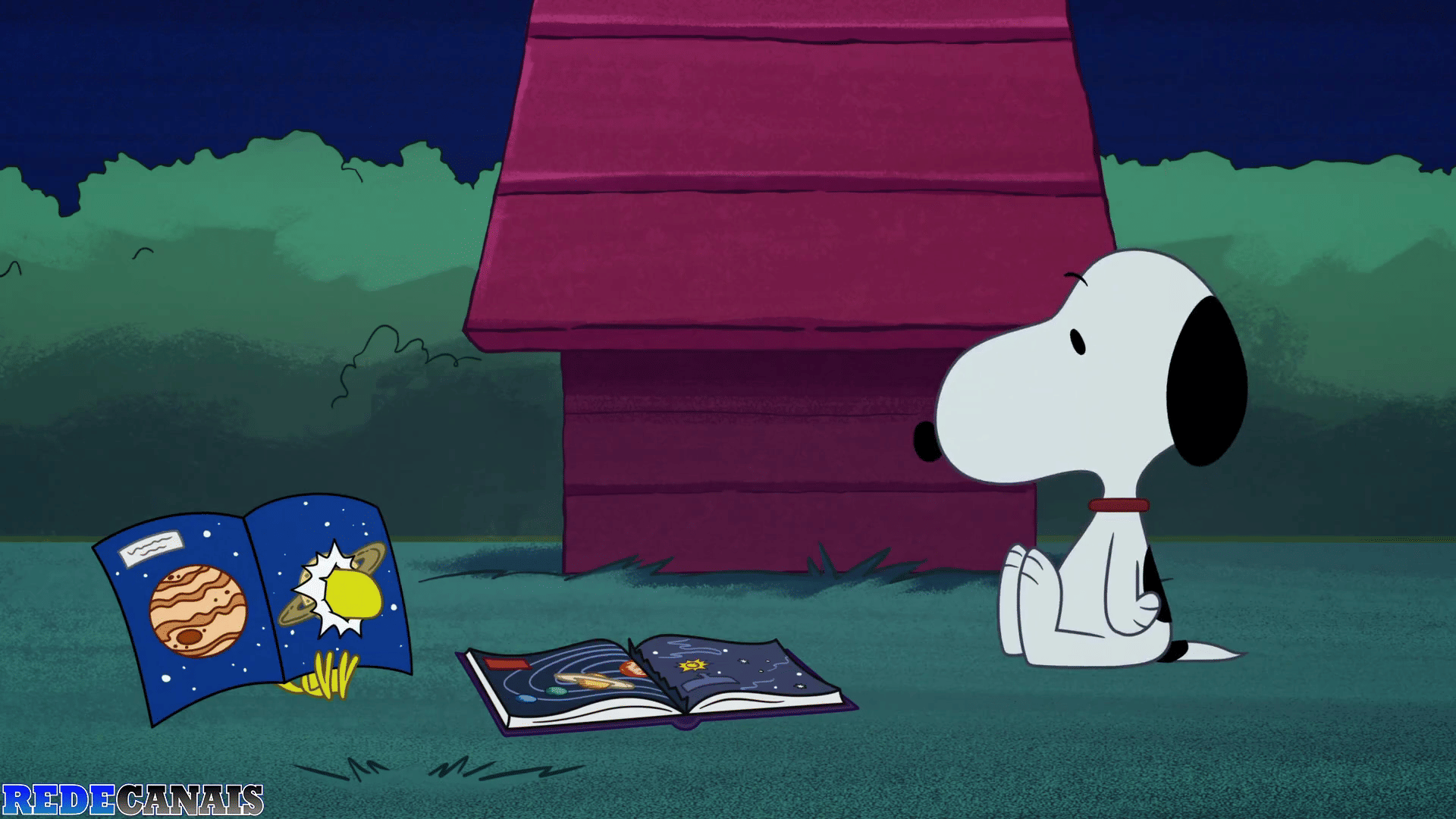 Snoopy - A Próxima Missão