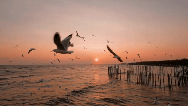 Future of Healthcare Administration