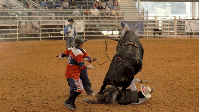 State of Rodeo - Bull Riding