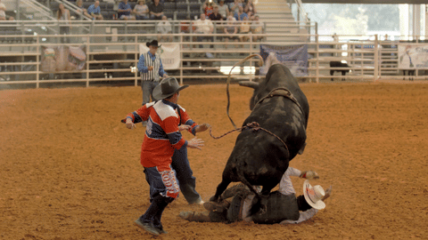 State of Rodeo - Bull Riding