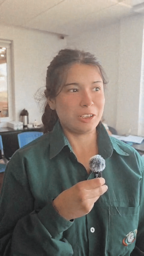 finanzas uide17 (17)