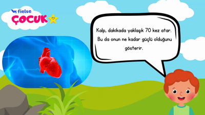 Kalbimizi Tanıyalım 🫀