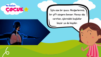 Akciğerlerimiz ve Nefes Alma 🫁