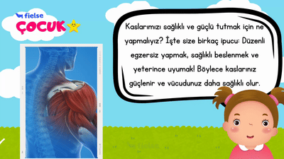 Kaslarımızı Keşfedelim 🦸‍♂️ 💪