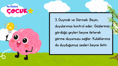 Beynimiz: Kontrol Merkezi 🧠