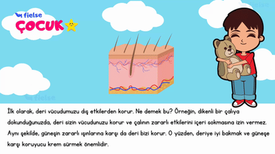 Deri: Vücudumuzun Süper Kalkanı 🛡️