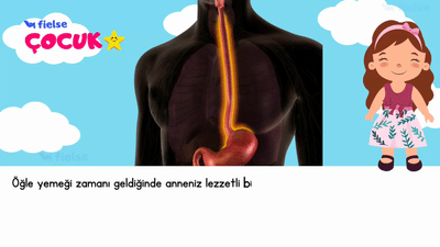 Yemek Borusu: Yiyeceklerin Yolculuğu 🥬 🍗 🥗