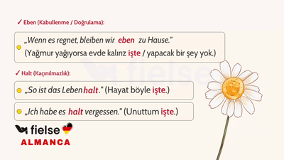 Partikelanwendung-Cümleye Duygu, Vurgu ve Nüans Katan Edatçıklar