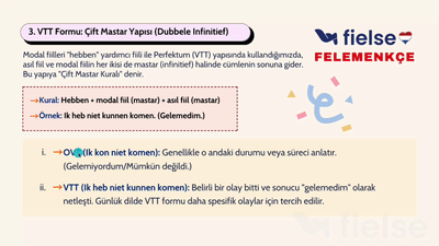 Felemenkçede Modal Fiillerin Geçmiş Zaman Kullanımı