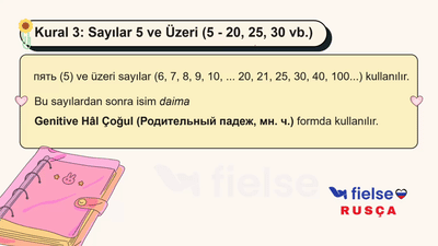 Sayılarla Hâl Uyumu (1, 2–4, 5+) ve Genitif Tekil - Çoğul Kullanımı