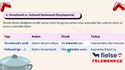 Felemenkçe Geçmiş Zaman Ortacı: Voltooid Deelwoord Sıfat Olarak 📌