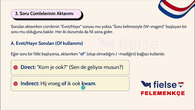 Felemenkçe'de Dolaylı Anlatım: Cümleleri Aktarma 💬
