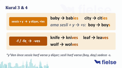 İngilizcede Çoğul İsimler: -s, -es, -ies, -ves Kuralları