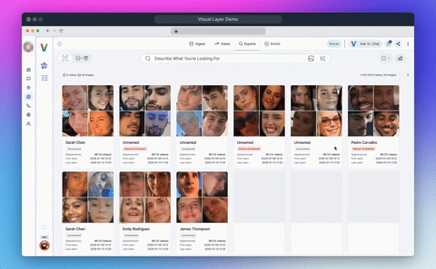 Visual Layer Demo